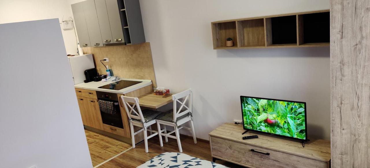 Marius Studio Braşov Extérieur photo