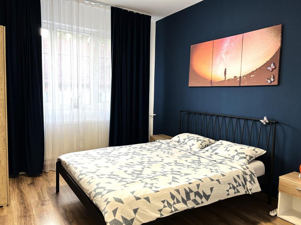 Marius Studio Braşov Extérieur photo